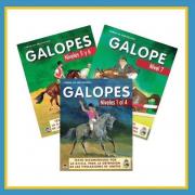 EXAMENES DE GALOPES CD CHIP